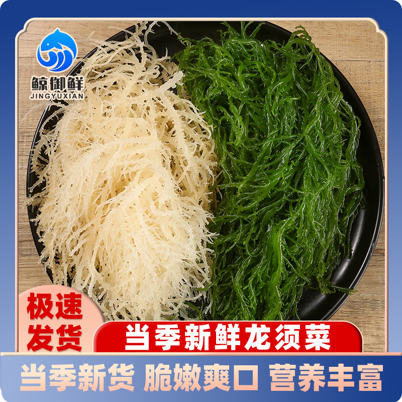 夏日佳肴 凉拌菜包含白色龙须菜+绿色龙须菜