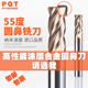 PQT圆鼻铣刀55度涂层硬质合金铣刀D6R1钨钢4刃牛鼻R角立铣刀4R0.5