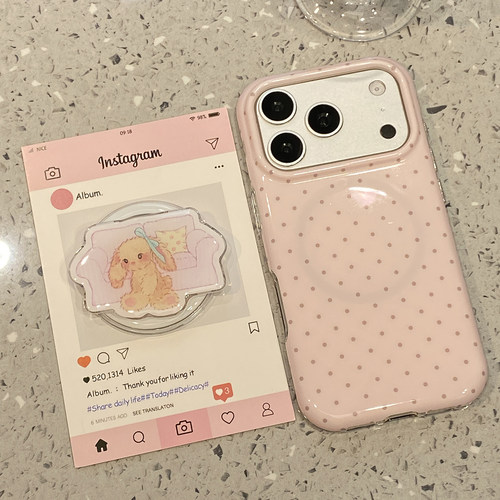 【每日新品】小众粉底波点沙发兔子磁吸支架适用于苹果18pro手机壳iphone17promax保护套16防摔款15/17pm新款