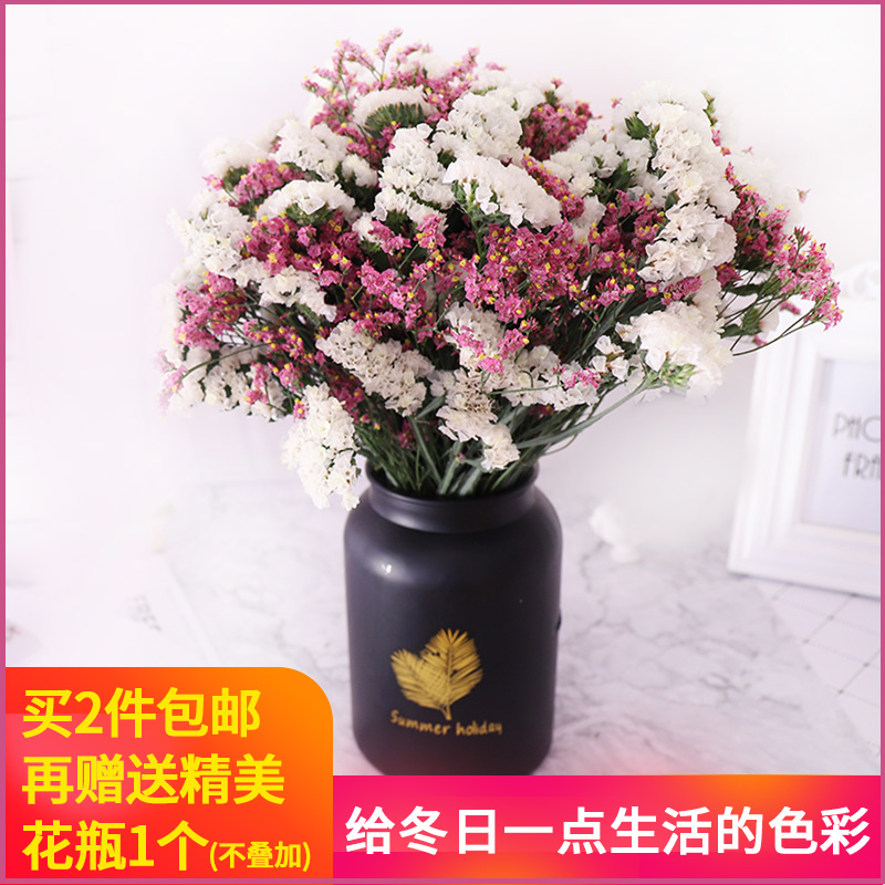 艾荟萃云南干花花束鲜花真花永生花勿忘我情人草插花花艺植物绿植在类目 鲜花速递/花卉仿真/绿植园艺, 永生花/干花, 干花中 - 来自Buy2taobao.com提供专业的淘宝代购服务