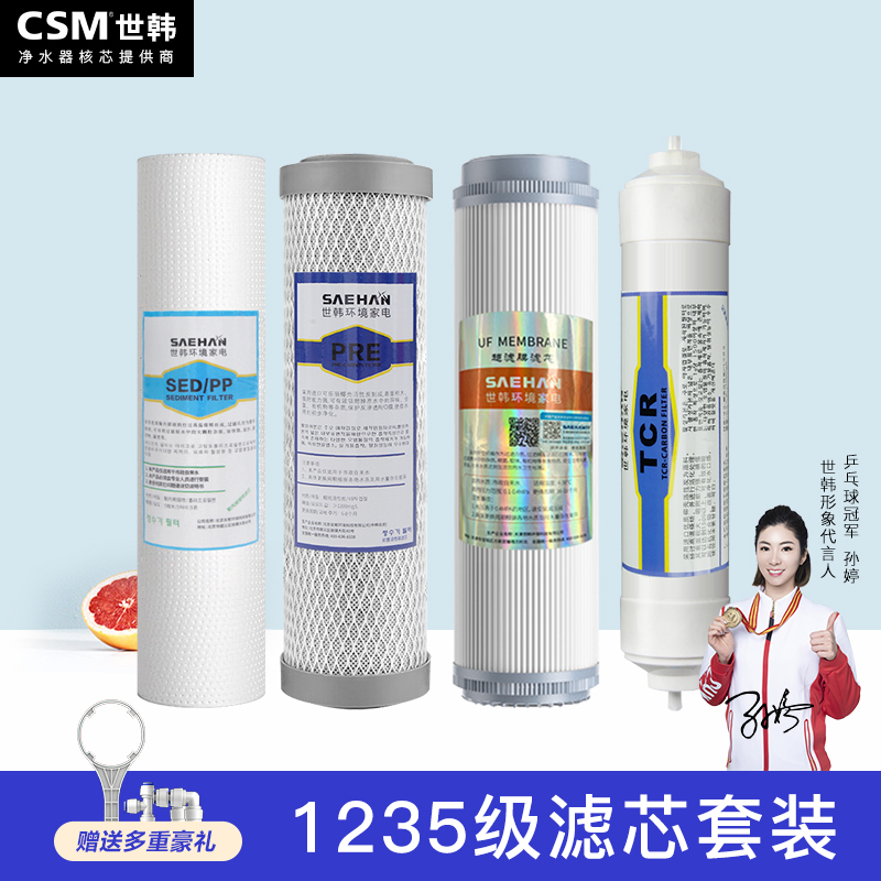 直饮世韩PP棉活性炭UF膜后置碳