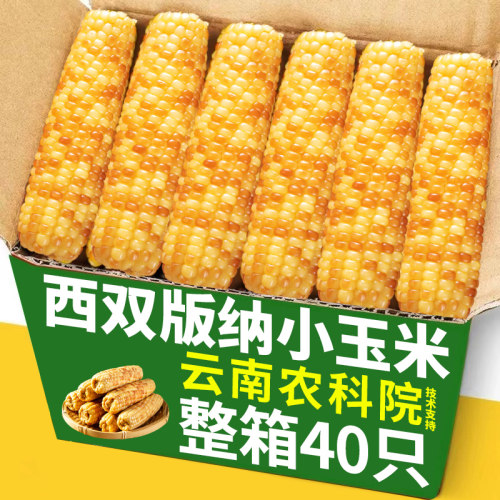 西双版纳香糯玉米真空包装代餐