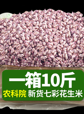 2025新货云南七彩花生米孟连特产新鲜晒干去壳野地彩色花生种籽子