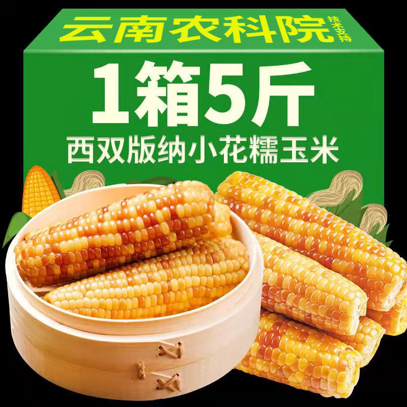 云南西双版纳香糯小玉米新鲜即食真空甜花糯包谷黏玉米棒代餐粗粮,粮油调味/速食/干货/烘焙,玉米,淘宝优惠券,粉丝福利购,淘宝优惠卷