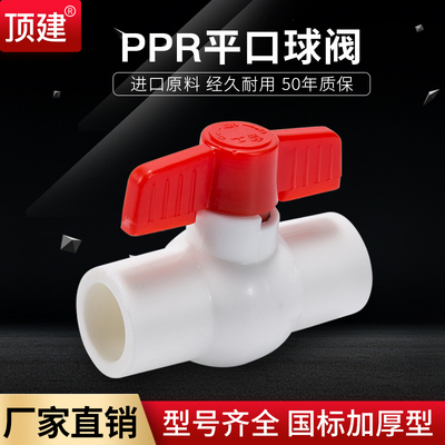 ppr加厚阀门平口阀热熔钢芯阀