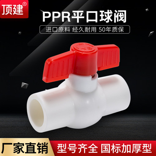 ppr加厚阀门平口阀热熔钢芯阀