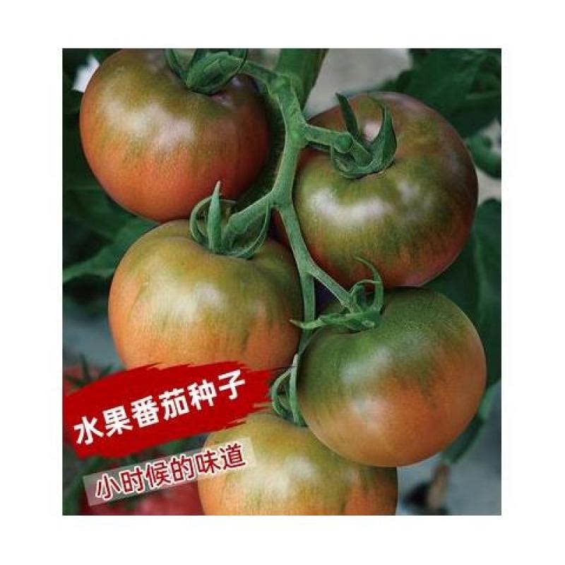 草莓番茄:小时候的味道,口感酸家庭园艺种子