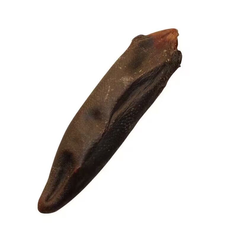 梅花鹿干鹿尾巴整只鹿尾整个可以切片泡酒煲汤