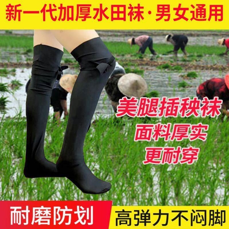 下田插秧袜子专用防蚂蟥防蚊脚套水田插田防泥土水袜脚套赶海长袜