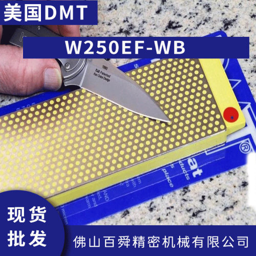 10寸双面金刚石磨刀石带