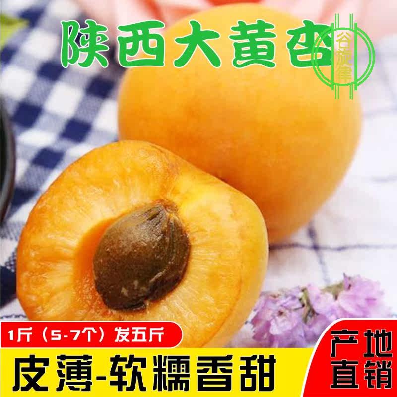 Shaanxi Red sun chinese rhubarb Apricot 5 Season fresh fruit Thin Fragrant and sweetin the Aquatic meat/Fresh fruits and vegetables/Cooked , Fresh fruit , Other  category - from Buy2taobao.com to provide professional Taobao agent buy service
