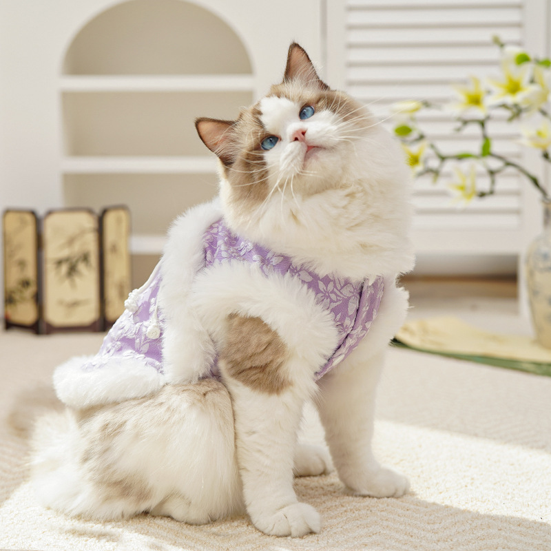 国风萌宠唐装喜庆精致显乖巧