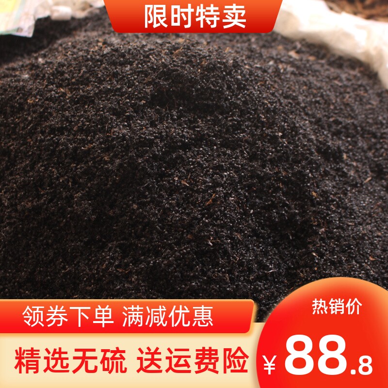 正品广西横县黑蚂蚁中药材500g干货拟黑多刺蚁大蚂蚁可磨黑蚂蚁粉
