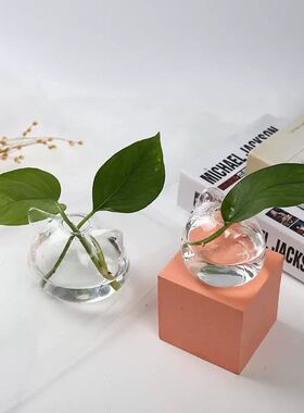 日式玻璃花瓶家居装饰猫咪桌面绿植水培插花瓶创意微景观迷你可爱