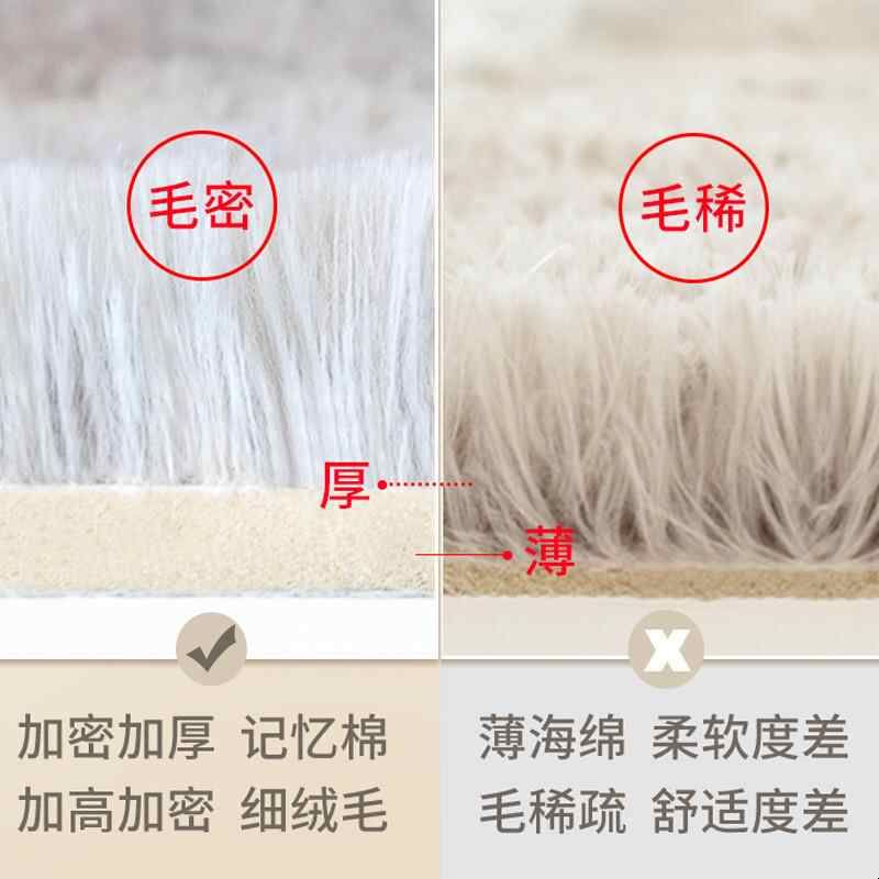 地毯卧室床边毯2025新款客厅长毛毯子可水洗床下地垫房间长绒加厚