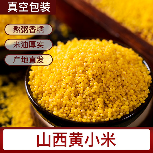 黄小米1斤真空包装包邮山西特产