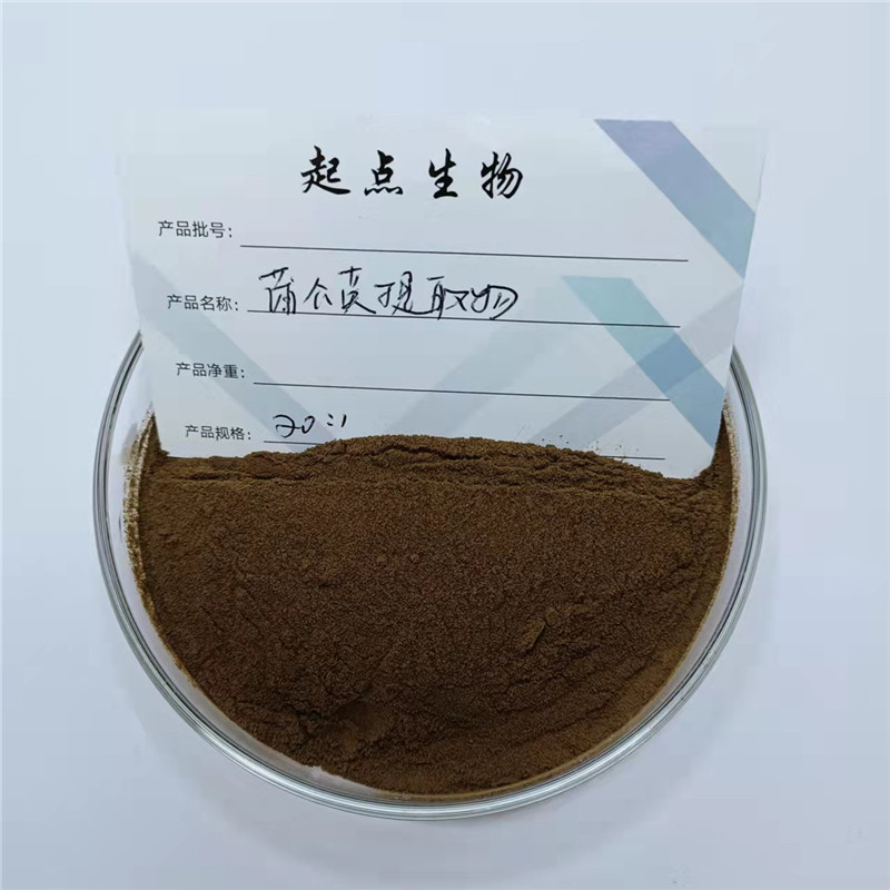 蒲公英提取物野生浓缩精华原料粉