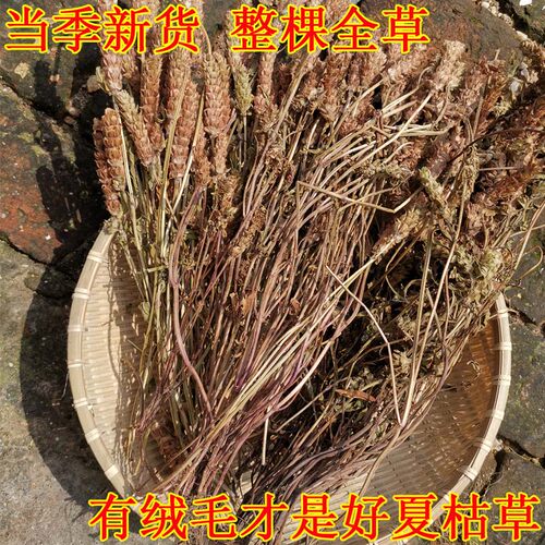夏枯草正宗夏枯球全草干货精选