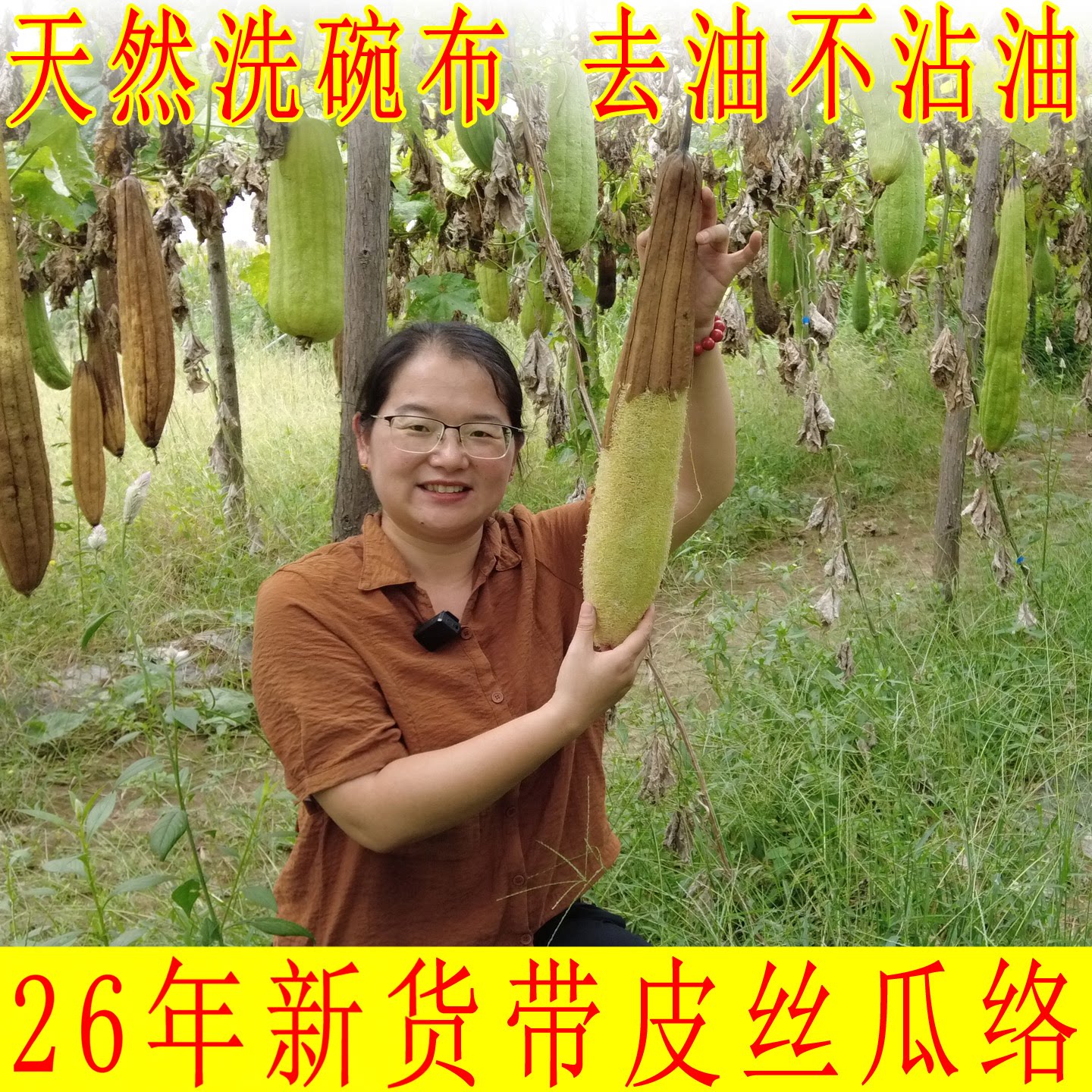 26年天然丝瓜络洗碗抹布水瓜锅刷百洁布不沾油洗碗神器老丝瓜瓤子