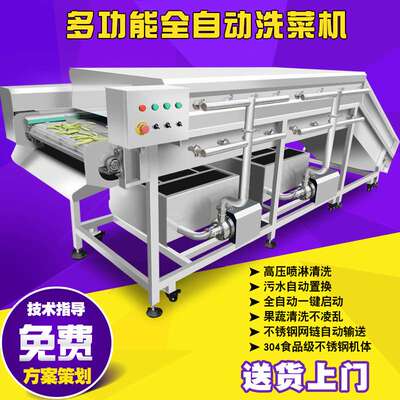 新型大青叶气泡清洗机 连续式洋葱生产线 破袋胀袋挑选流水线