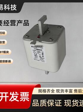 170M8639170M8640170M8641170M8642熔断器170M系列现货供应
