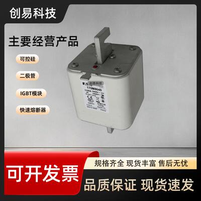 170M8639170M8640170M8641170M8642熔断器170M系列现货供应