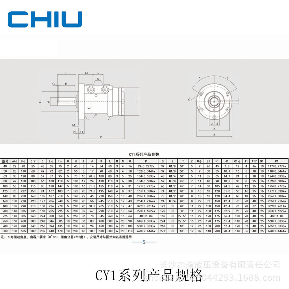 源头厂家长沙赤瑜CY1系列螺旋摆动液压油缸旋转马达