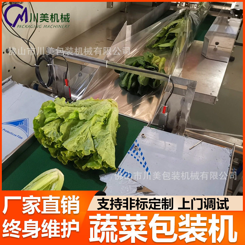 果蔬叶菜枕式定量称重包装机