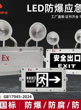 新国标新标准GB17945-2024LED防爆双头应急灯标志安全出口指示灯