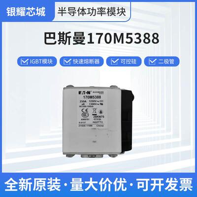 巴斯曼170M5388快速熔断器