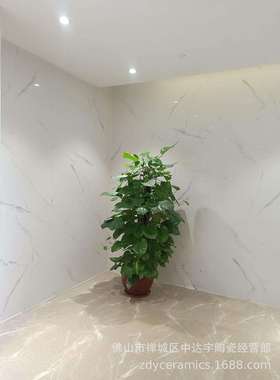 FQfs柔光亮光600x1200mm一石两面负离子通体大理石客厅卫生间