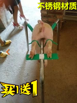 阉猪器阉割架仔猪小猪用场养猪用设备用品工具阉割器仔猪阉猪架