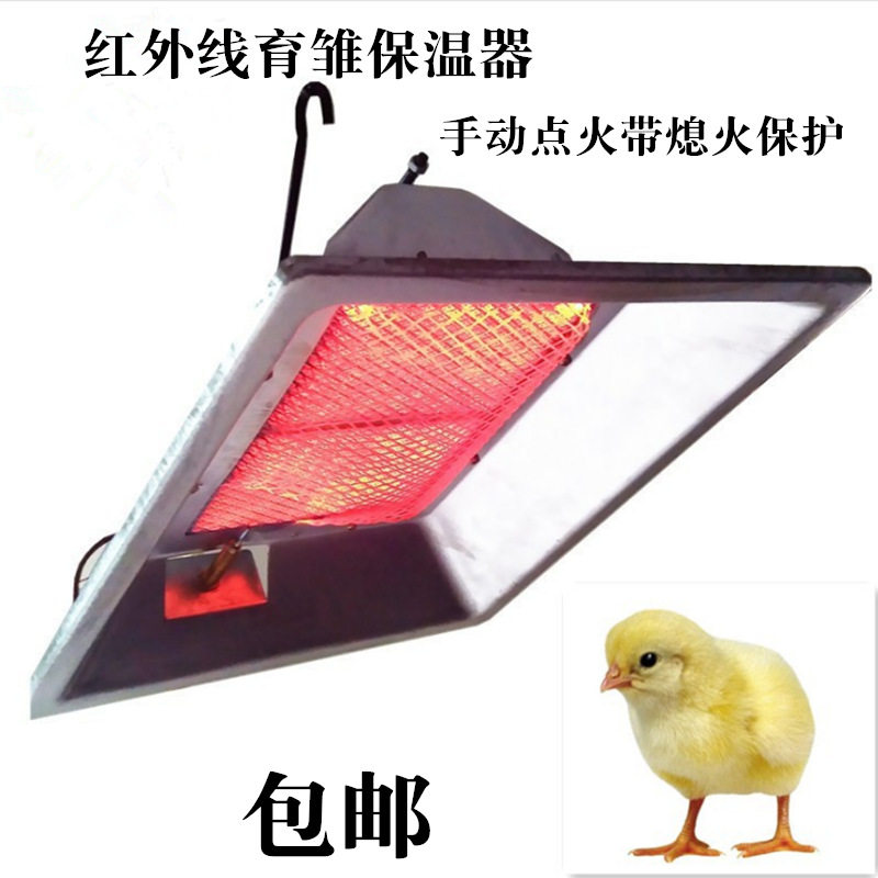 红外线育雏保温伞全自动加温