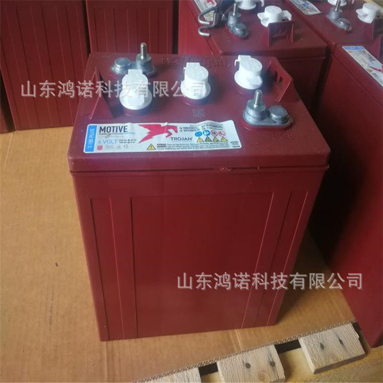 Torjan邱健蓄电池 T-105 6V225AH 20HR扫地机升降机平台配套