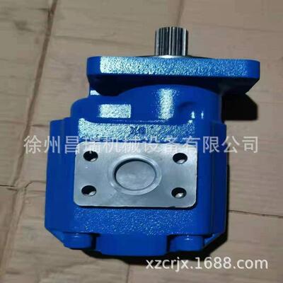 徐州徐工ZL50G装载机铲车803004078齿轮泵P5100-F100CX程机械配件