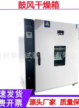 101-2a/3a电热恒温鼓风干燥箱高温干燥箱恒温控温烤箱老化箱
