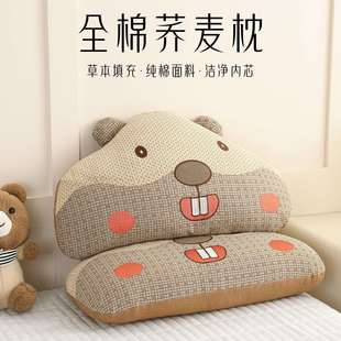 2025新款全棉卡通土拨鼠全荞麦壳枕花边护颈枕头学生儿童枕芯枕头