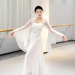 古典舞蹈服身演出服幻彩蝴蝶飘逸纱衣裙裤中国演出练功套装发完
