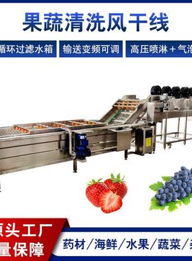 盛河多功能气泡清洗机山楂千禧果喷淋清洗机不锈钢蔬菜清洗机