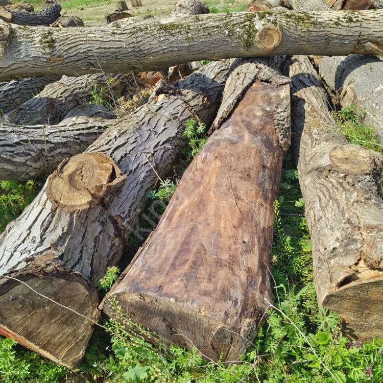 欧洲木材进口胡桃木实木欧洲核桃原木圆木家具原材切割桃木