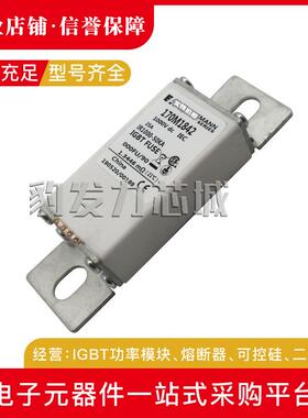 170M1842/1843/1844/1845/1846/1847/1848/1849/1850-1853熔断器