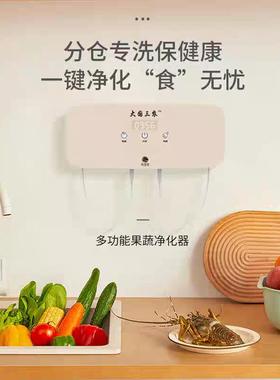 果蔬清洗机水果蔬菜清洗机果蔬食材净化洗菜器消毒去除农残留