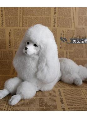 仿真贵宾犬贵妇犬仿真狗工艺品摆件玩偶毛绒玩具仿真动物模型
