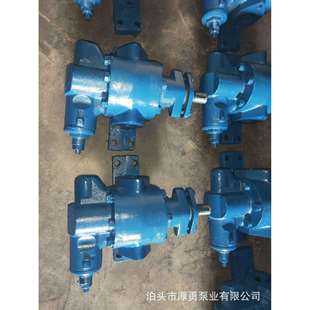 KCB不锈钢齿轮泵香油麻汁输送泵304材质酸性液体输送齿轮油泵