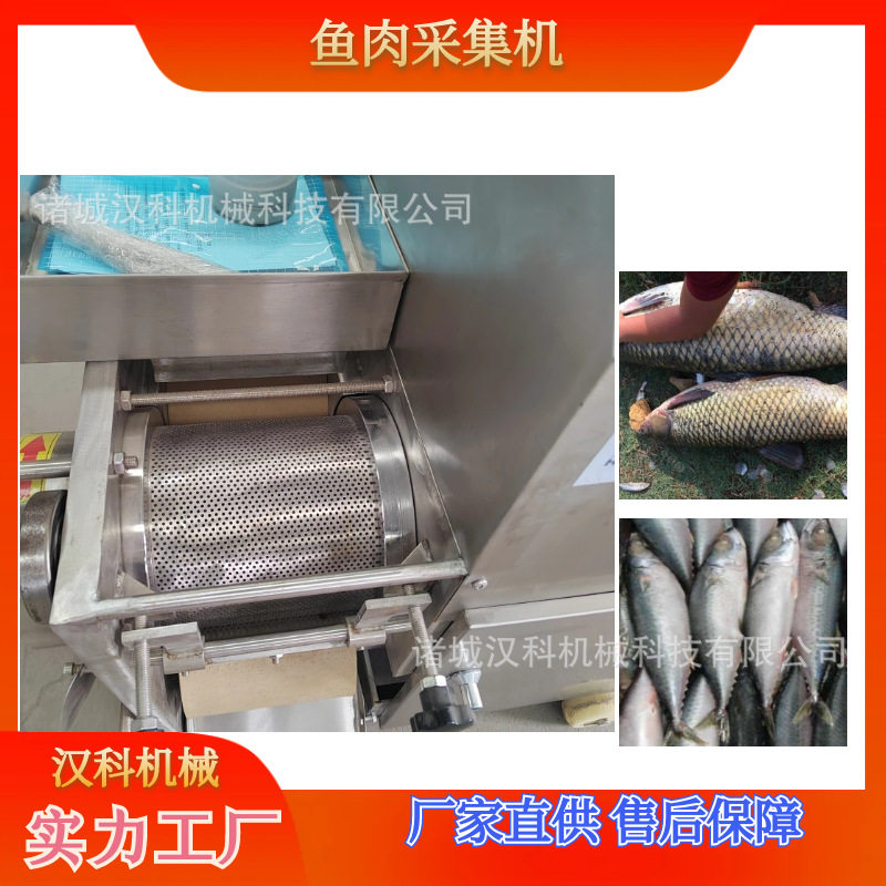 商用鱼糜采集机器 鳗鱼肉采集机器 榴莲肉采集设备