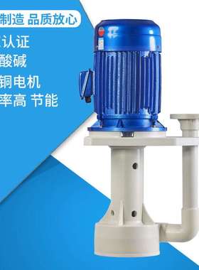 YIDA YDS-65SK-155可空转直立式耐酸碱泵 槽内立式泵  意达泵业