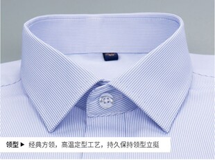 交通工商银行职业衬衫假领子男女通用蓝色装饰领方领尖领节约领