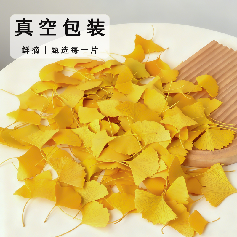 可做成品精选金色银杏叶