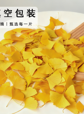 天然永生仿真银杏叶成品手工diy材料标本装饰新鲜干花束枯树叶