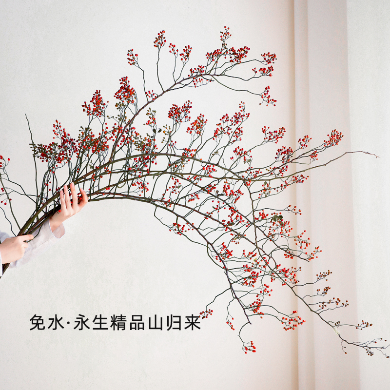 【氛围感】家居装饰品鲜切山归来